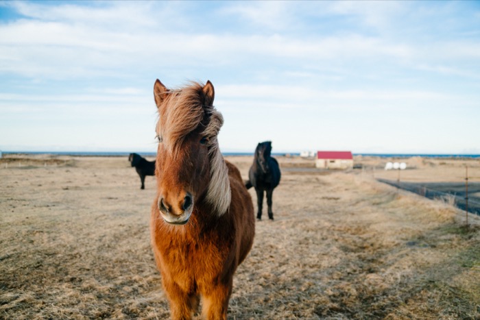 Matt Rubin photography 9